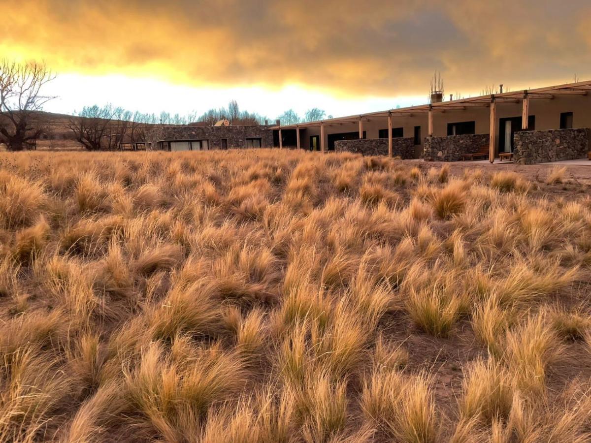 Rancho Adobe Eco Hotel Tupungato megye Kültér fotó