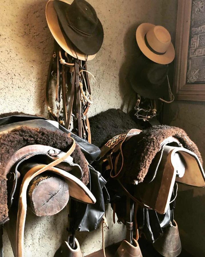 Rancho Adobe Eco Hotel Tupungato megye Kültér fotó